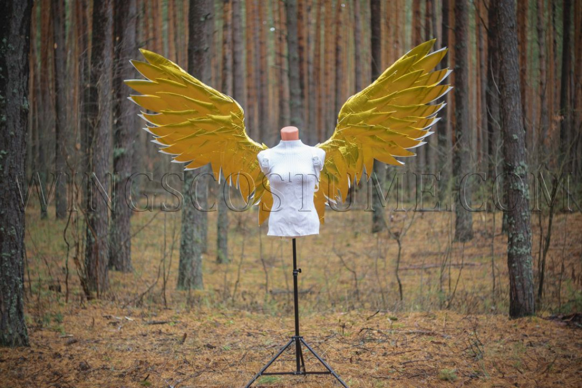 Buy realistic angel wings costume "Golden rain mini"